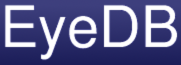 EyeDB Logo